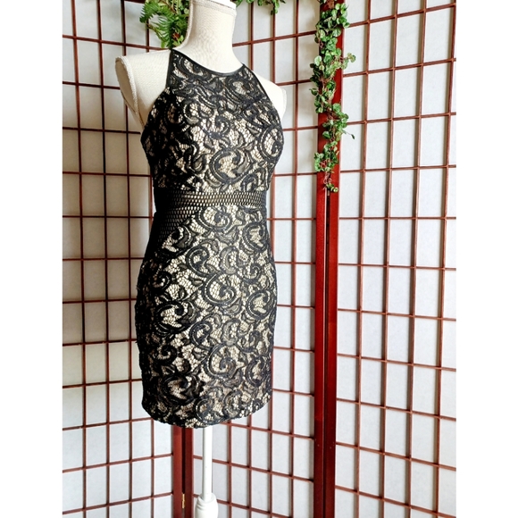 Dream ' Moon Halter Cutout Zip Back Lace Mini Dress - Picture 1 of 16